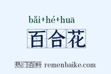 百合花是什么意思的图片